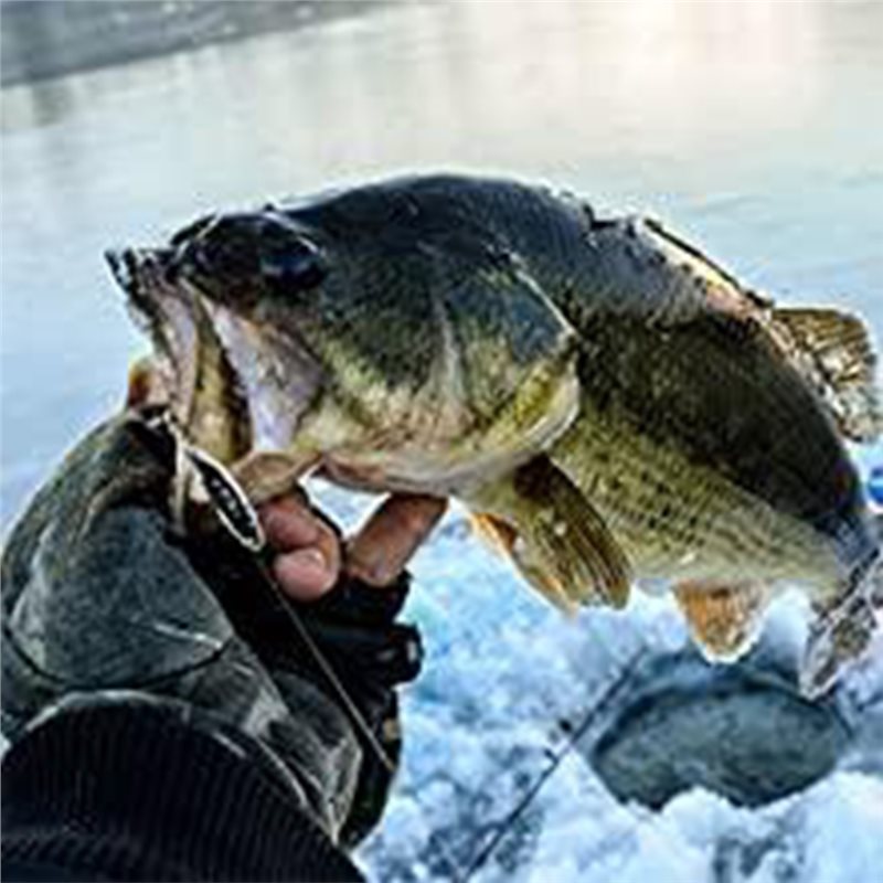 Fish Finder Transducer - ABLB-Kayak Tekne Balık Bulucu Transdüser Taşınabilir